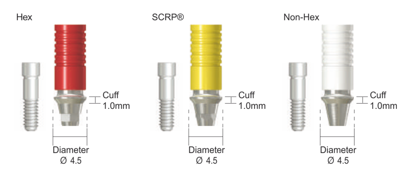 CCM_UCLA_Abutment